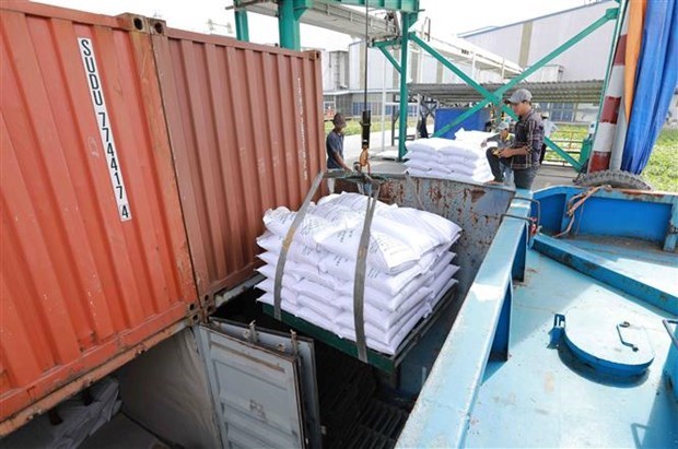 Vietnam to diversify rice export markets hinh anh 1