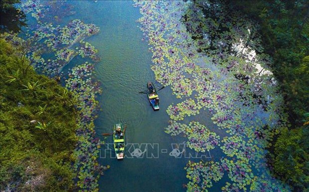 Vietnam’s culture, tourism sector takes actions to protect environment hinh anh 1