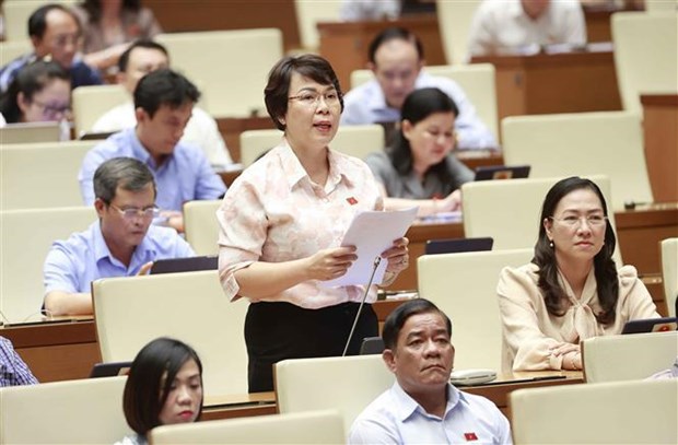 Lawmakers to vote on resolution on law and ordinance making programme hinh anh 2