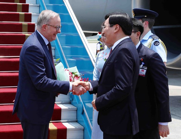 Australian PM Anthony Albanese begins official visit to Vietnam hinh anh 1