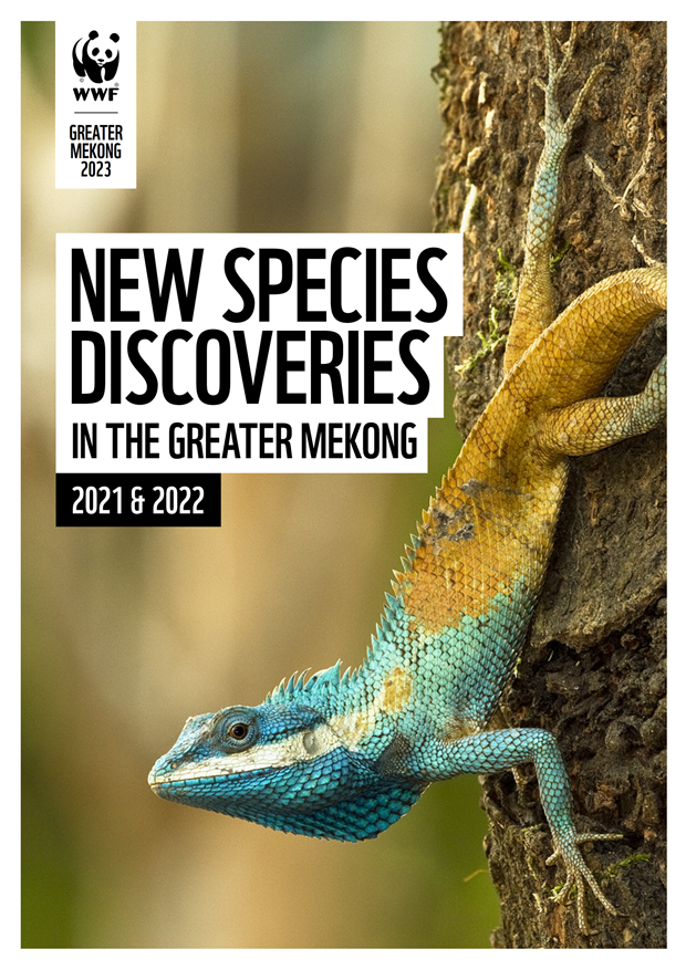 Vietnam discovers 158 new species during 2021-2022 hinh anh 2