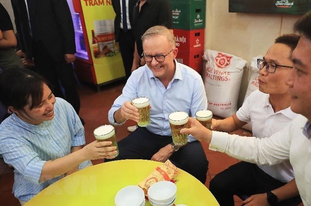 Australian PM's Vietnam visit a success: researcher hinh anh 2