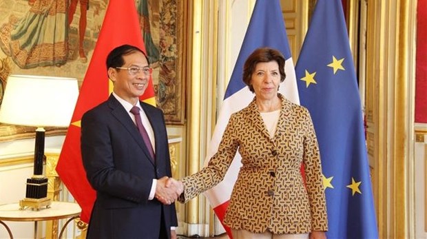 Vietnam, France wish to elevate ties to greater height hinh anh 1
