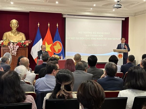 Foreign Minister hails contributions of Vietnamese community in France hinh anh 1