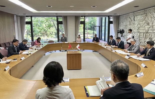 Ambassador calls for more investment from Japan’s Tochigi prefecture hinh anh 1