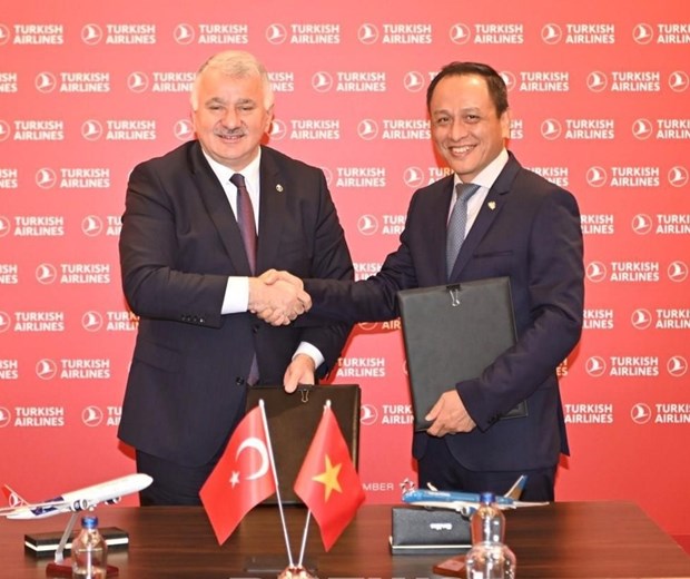 Vietnamese, Turkish national flag carriers sign codeshare agreement hinh anh 1