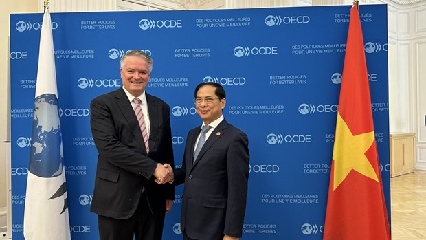 Vietnamese FM meets with OECD Secretary-General in Paris hinh anh 1