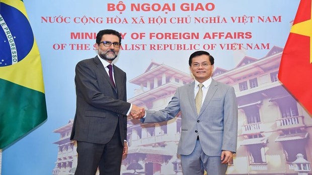 Vietnam-Brazil comprehensive partnership to go further hinh anh 1