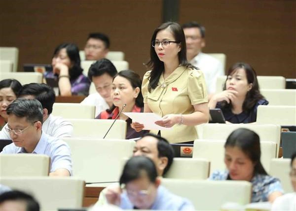 Implementation of ethnic minority-related policies clarified at National Assembly hinh anh 2