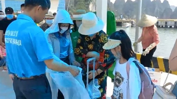 Tourists advised not to take plastic bags to Co To island hinh anh 1
