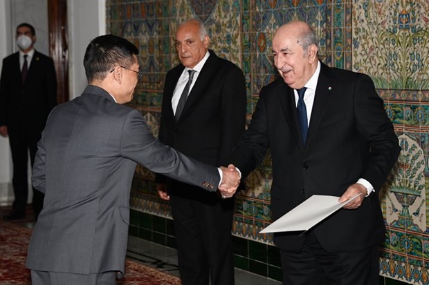 Vietnam-Algeria traditional friendship key to multifaceted cooperation: Algerian President hinh anh 1