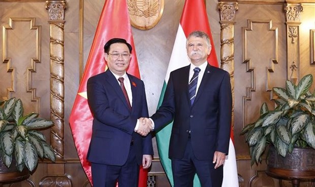 Hungary - Vietnam relations will increasingly develop: Hungarian NA official hinh anh 1