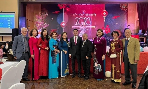 Vietnamese community recognised as ethnic minority group in Slovakia hinh anh 1