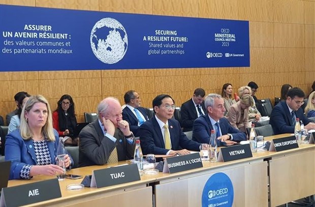 Vietnam makes suggestions at OECD Ministerial Council Meeting 2023 hinh anh 1