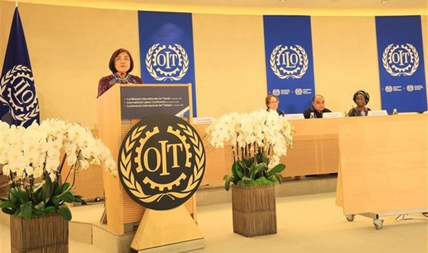 Vietnam commits to ILO’s universal values: ambassador hinh anh 1