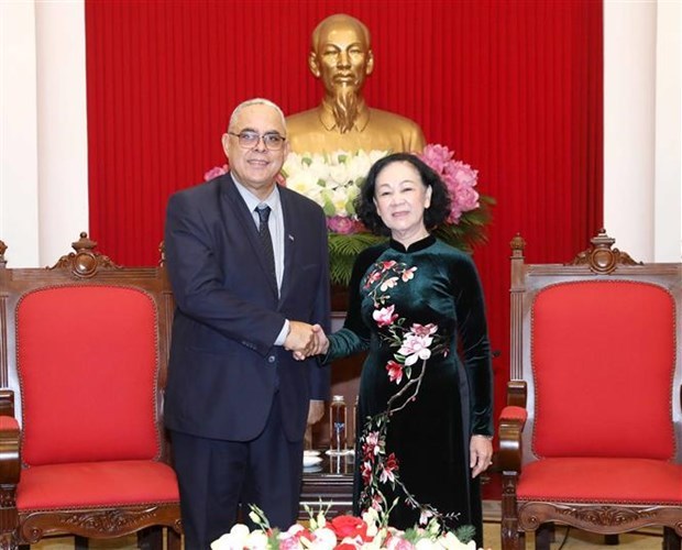 Party official reaffirms Vietnam’s solidarity with Cuba hinh anh 1
