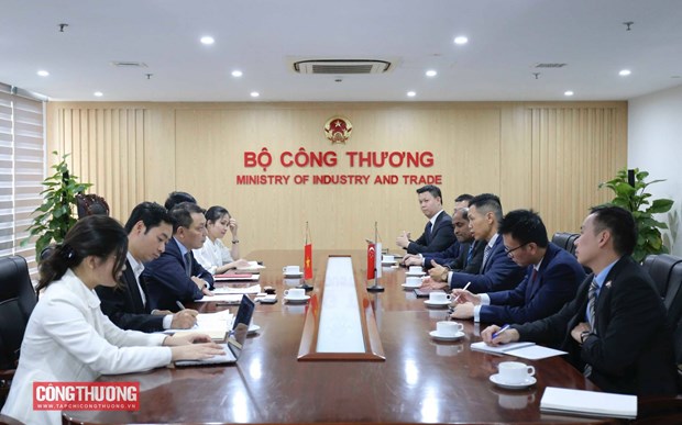 Vietnam, Singapore look to expand energy development cooperation hinh anh 1