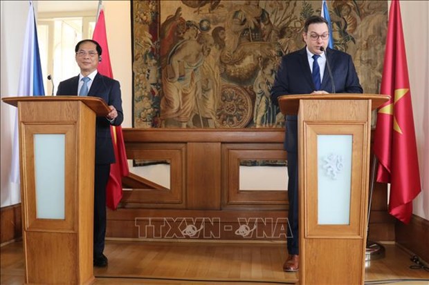 Vietnam treasures friendship, comprehensive cooperation with Czech Republic: FM hinh anh 1