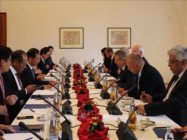 Vietnam treasures friendship, comprehensive cooperation with Czech Republic: FM hinh anh 2