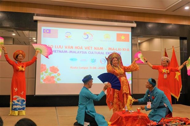 Vietnamese culture promoted in Malaysia hinh anh 1