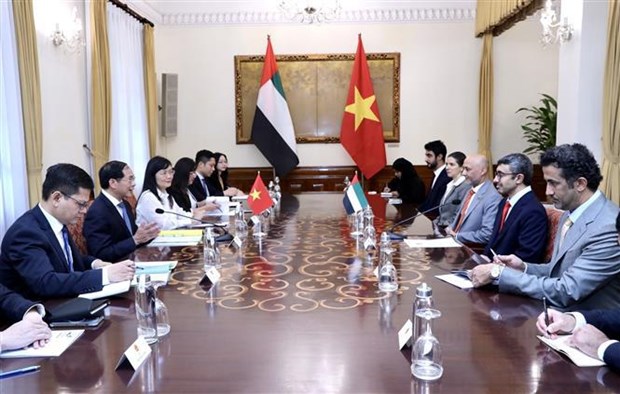 Vietnam, UAE see ample room for cooperation hinh anh 1