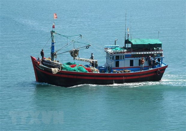 Quang Tri tightens fishing vessel monitoring to fight IUU fishing hinh anh 1