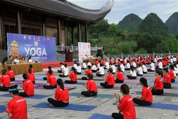 International Day of Yoga marked in Ha Nam province hinh anh 1