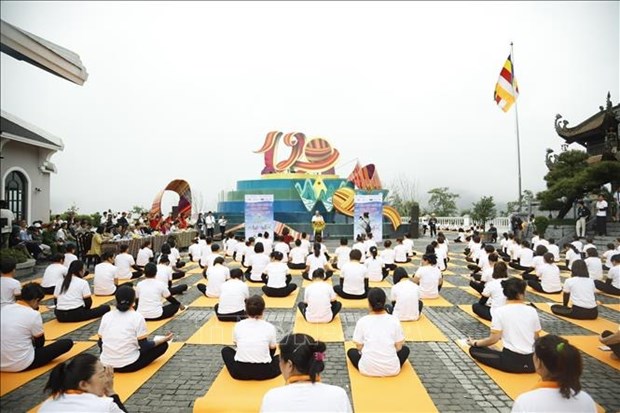 Lao Cai observes 9th International Yoga Day hinh anh 1