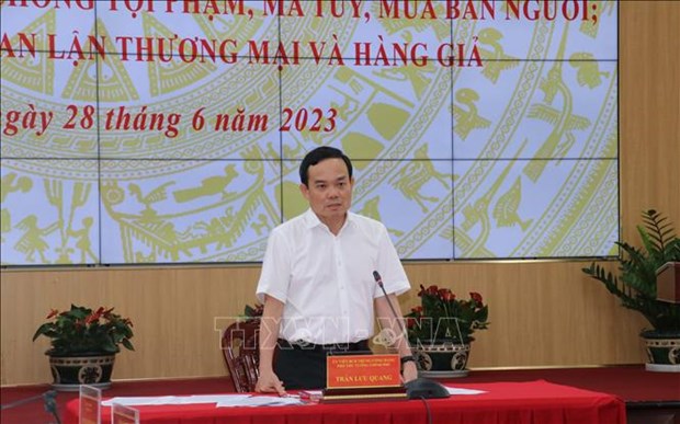 Deputy PM directs fight against IUU, smuggling, drug trafficking in Mekong Delta hinh anh 1