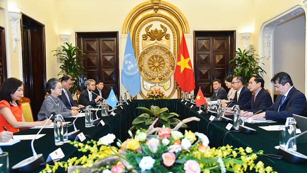 Vietnam attaches importance to cooperation with ESCAP: FM hinh anh 1
