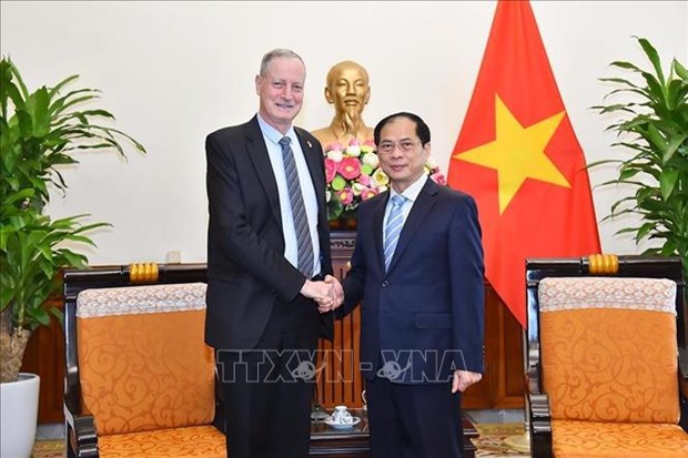 Vietnam attaches importance to ties with Israel: FM hinh anh 1