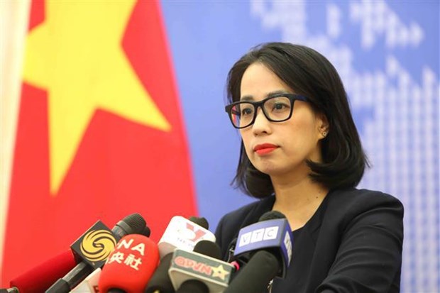 No Vietnamese citizens affected by unrest in France so far: Spokeswoman hinh anh 1