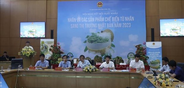 Hung Yen promotes longan export to Japan hinh anh 2