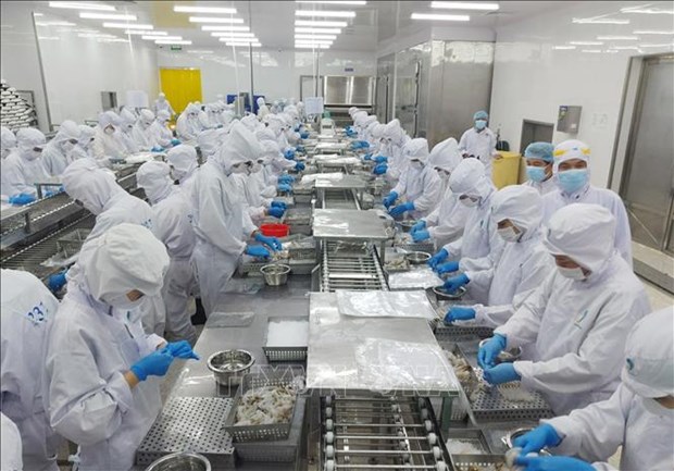Experts confident in Vietnam’s economic recovery hinh anh 2