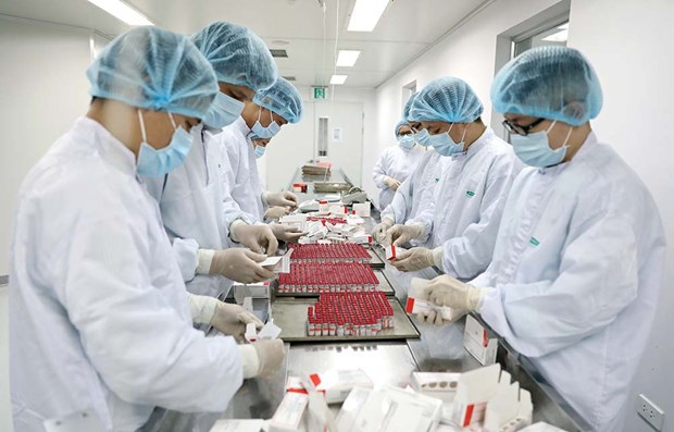 Policy breakthrough needed to better attract investment to pharma sector: expert hinh anh 1