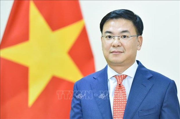 Vietnamese Ambassador presents credentials to Japanese Emperor hinh anh 1