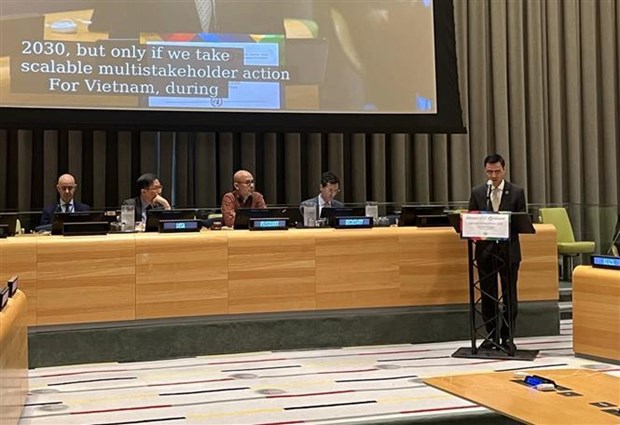 Vietnam maintains responsible contributions to SDG implementation: ambassador hinh anh 1