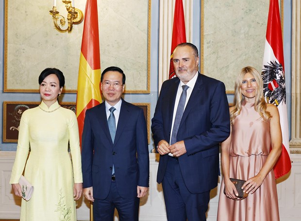 President Vo Van Thuong meets governor of Burgenland state of Austria hinh anh 1