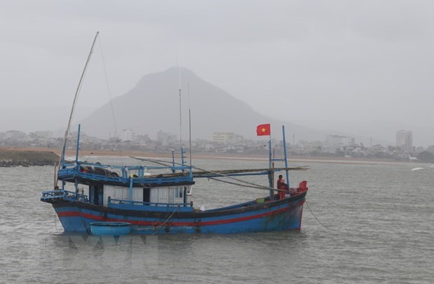 Binh Thuan ramps up efforts against IUU fishing hinh anh 1