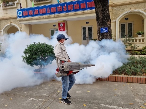 Hanoi advises residents to watch out for dengue fever risks hinh anh 1
