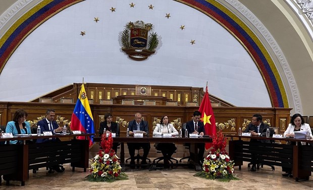 Vietnam, Venezuela enhance cooperation in ethnic affairs hinh anh 1