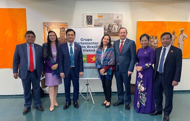 NA Council for Ethnic Affairs delegation visits Brazil hinh anh 1