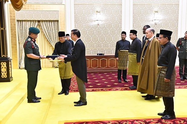 Malaysian King attaches importance to friendship with Vietnam hinh anh 1