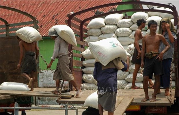 Myanmar eyes to increase rice exports in coming months hinh anh 1