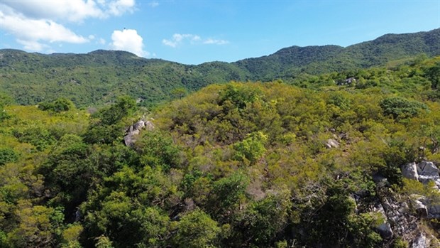 Diverse ecosystems turn Nui Chua World Biosphere Reserve into tourist attraction hinh anh 1