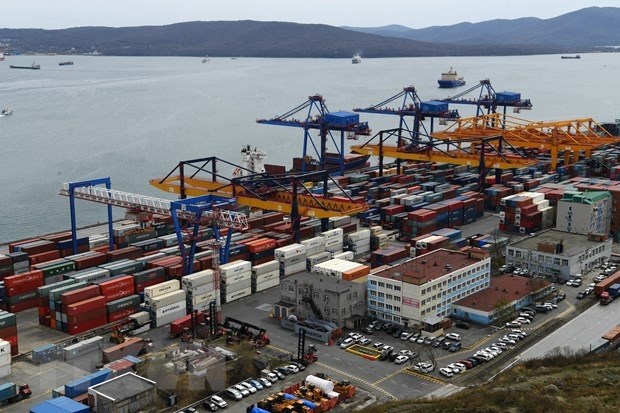Workshop promotes Vietnam- Russia trade through Vladivostok port hinh anh 1