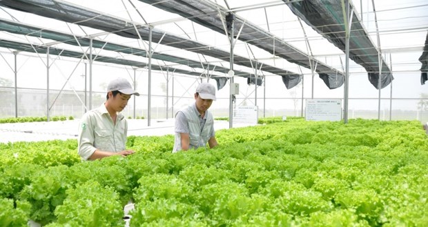 Australia funds Vietnam's tech-based innovation projects in agriculture hinh anh 1