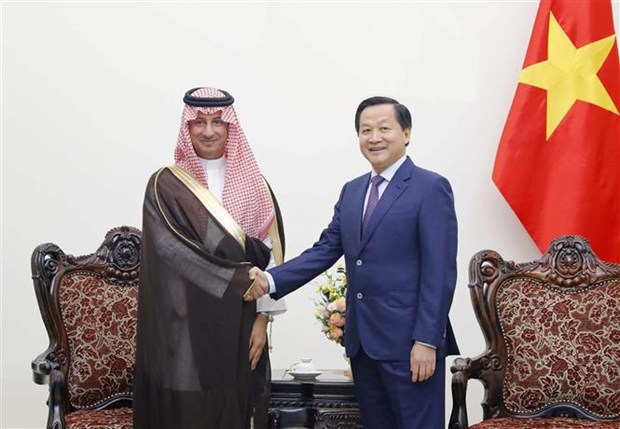Vietnam treasures friendship, multifaceted ties with Saudi Arabia: Deputy PM hinh anh 1