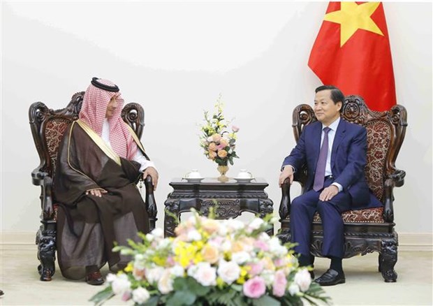 Vietnam treasures friendship, multifaceted ties with Saudi Arabia: Deputy PM hinh anh 2