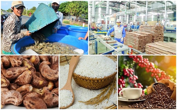 Trade surplus reaches 20.19 billion USD in eight months hinh anh 2